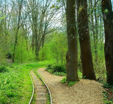Cedar Combe
