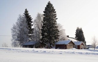 Cedar Combe
