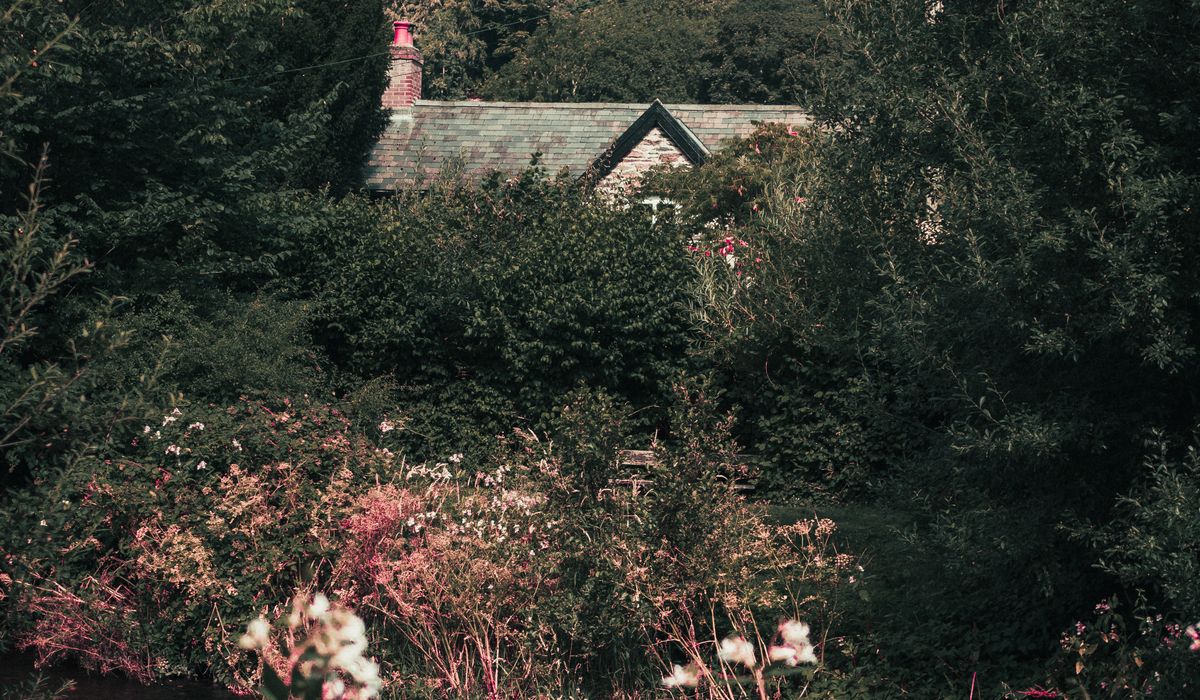 Cedar Combe