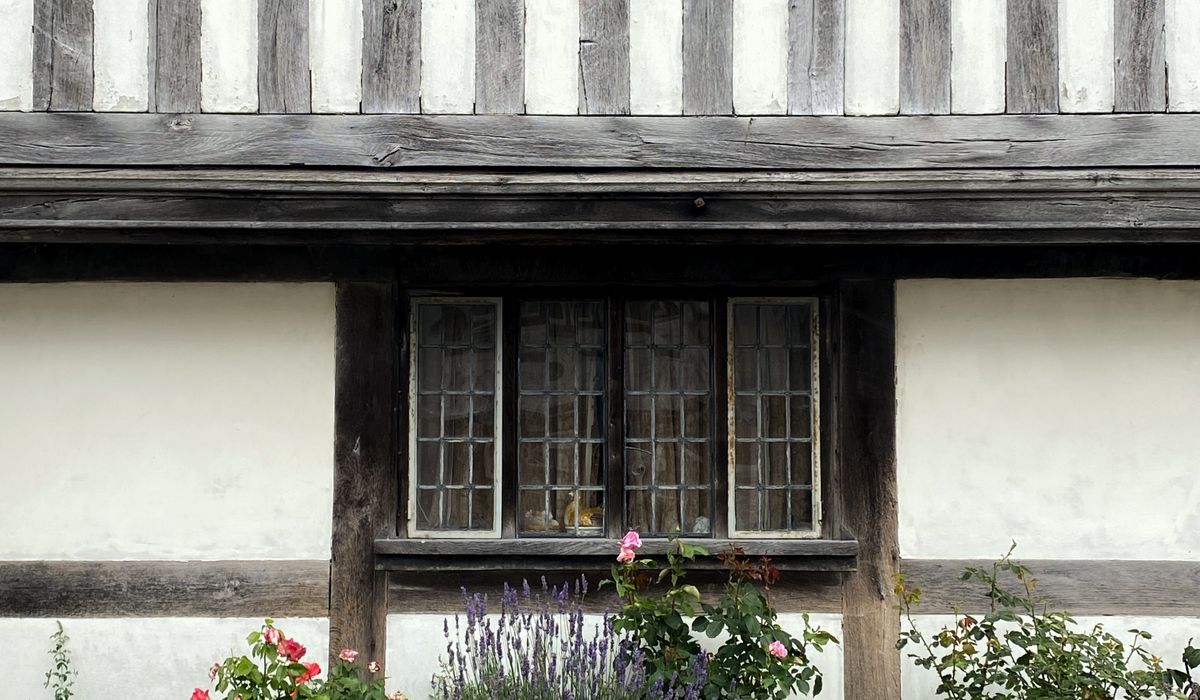 Cedar Combe